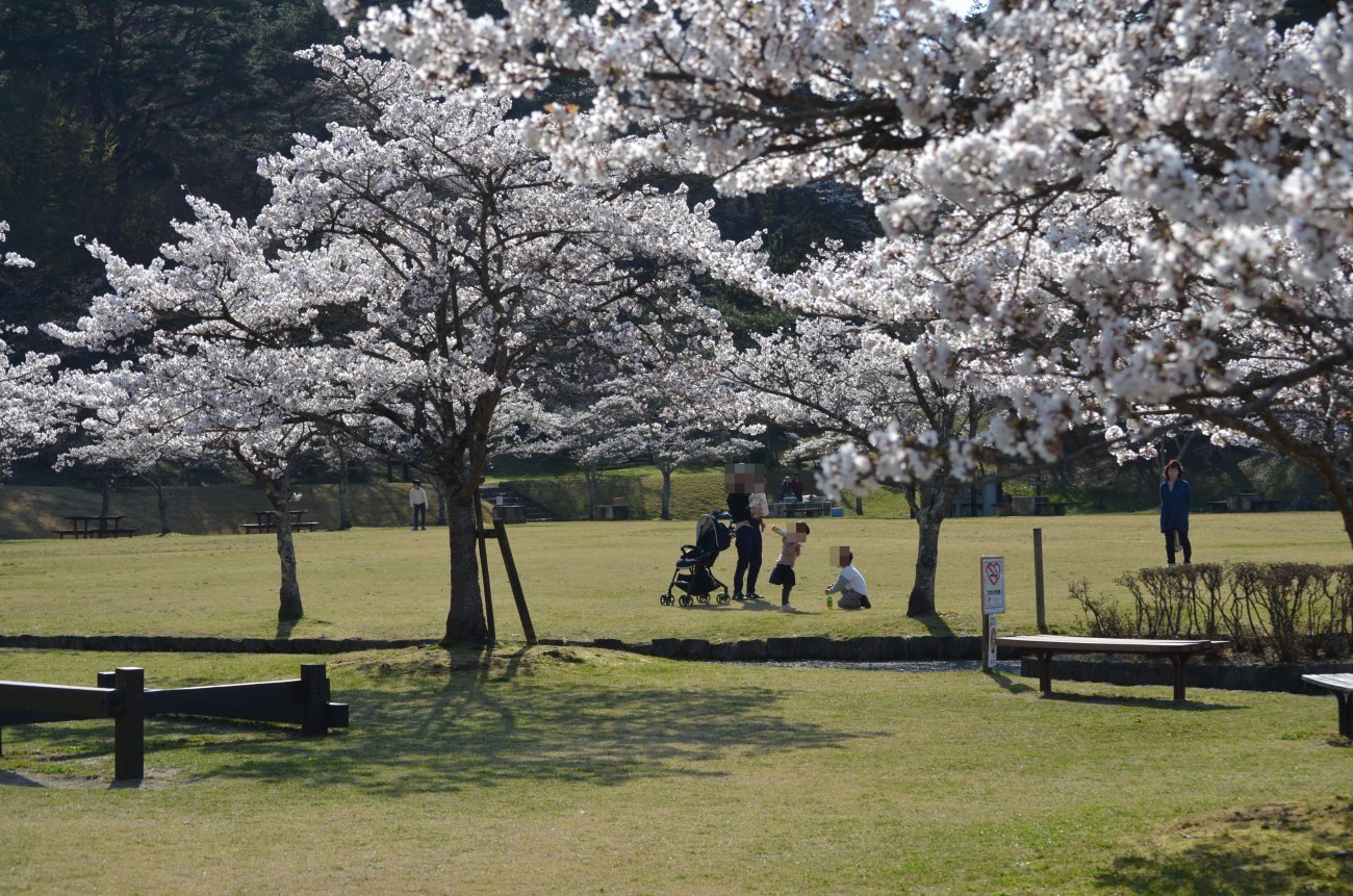 ここに来て寒の戻りに・・震える_d0283357_23262904.jpg