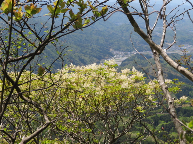 西峰山頂に到着　青葉山 (693M)  PART 2_d0170615_09031932.jpg