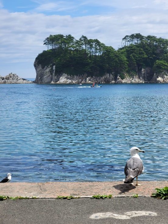 夏休み５日目～浄土ヶ浜　＠岩手県_f0048546_21342563.jpg