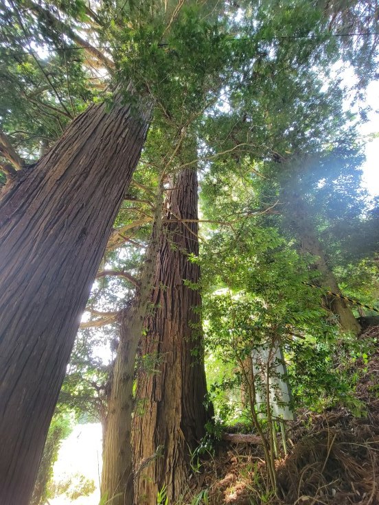 熊野神社・鹿島神社　@福島県田村市_f0048546_12593847.jpg