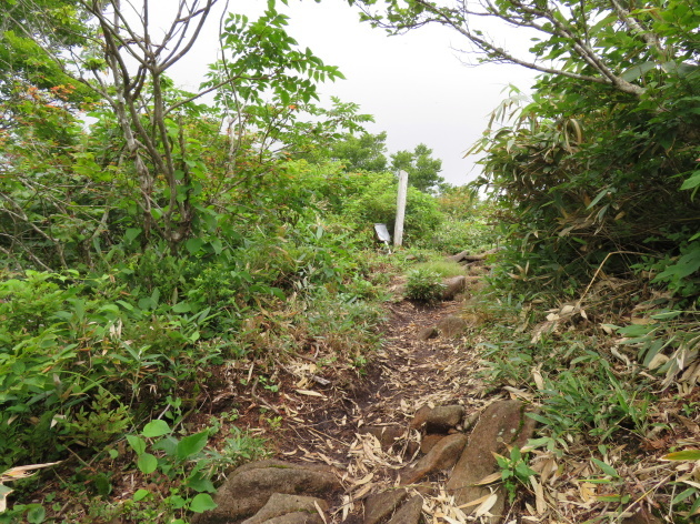 下山する　大日ｹ岳 (1,709M)   PART 7_d0170615_19573420.jpg