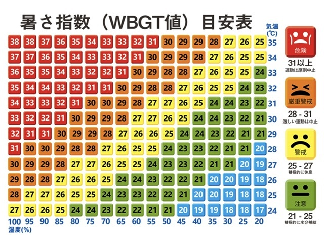 暑さ指数と激しい雨_e0397389_09195807.jpeg