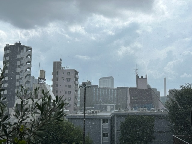 暑さ指数と激しい雨_e0397389_13082886.jpeg