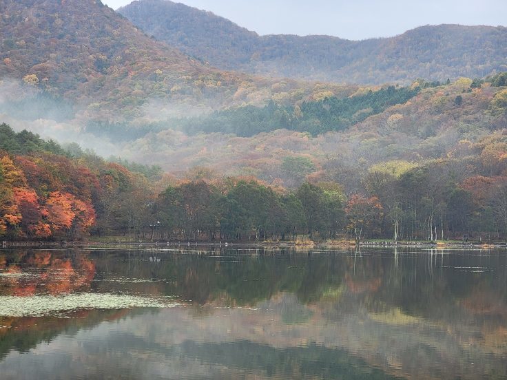 観音沼森林公園の紅葉　２週目その２　@福島県下郷町_f0048546_16225878.jpg