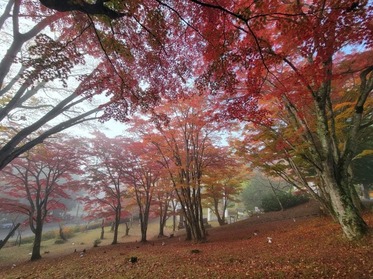 土津神社の紅葉　@福島県猪苗代町_f0048546_23033454.jpg