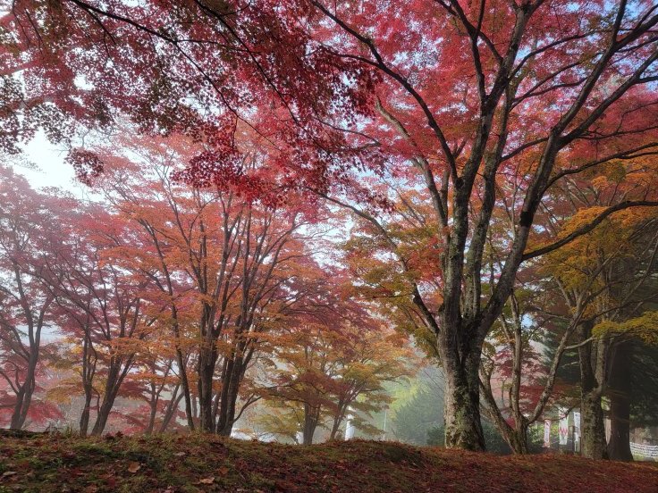 土津神社の紅葉　@福島県猪苗代町_f0048546_23033481.jpg