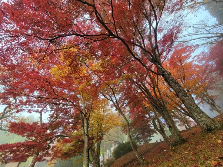 土津神社の紅葉　@福島県猪苗代町_f0048546_23033730.jpg