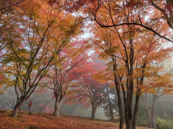 土津神社の紅葉　@福島県猪苗代町_f0048546_23033829.jpg