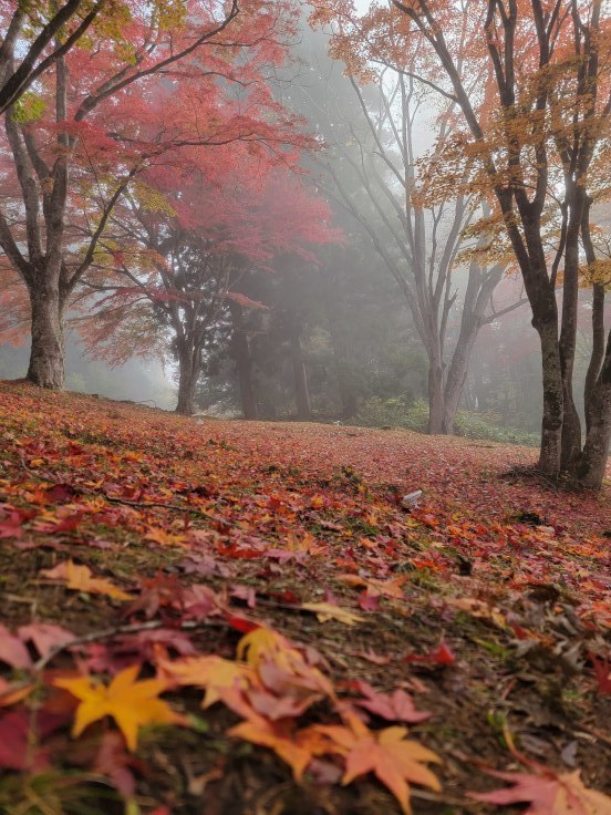 土津神社の紅葉　@福島県猪苗代町_f0048546_23033940.jpg