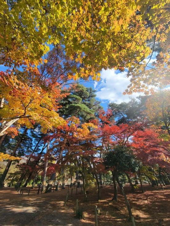 須賀川牡丹園　@福島県須賀川市_f0048546_18345606.jpg