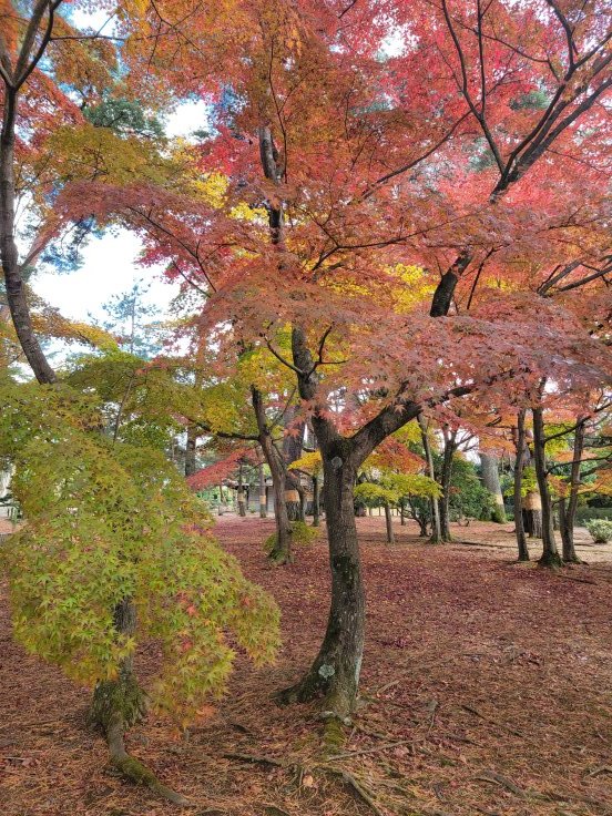 須賀川牡丹園　@福島県須賀川市_f0048546_18353015.jpg