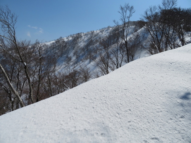 急登を行く　銀杏峰 (1,440.6M)    PART 3_d0170615_19364177.jpg