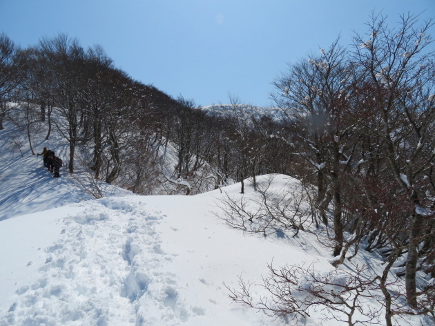 急登を行く　銀杏峰 (1,440.6M)    PART 3_d0170615_19365725.jpg