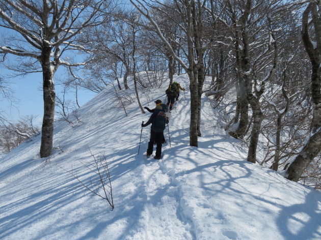 急登を行く　銀杏峰 (1,440.6M)    PART 3_d0170615_19371765.jpg