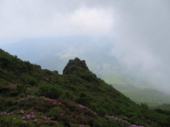 東峰登頂する　由布岳 (1,583M)   PART 2_d0170615_18463935.jpg