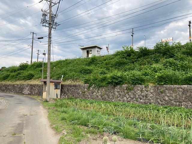 三峰川サイクリングジョギングロード_e0094589_09084948.jpg