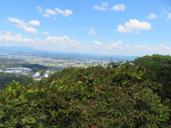 登頂する　明王山 (380M)  PART 3_d0170615_19365304.jpg