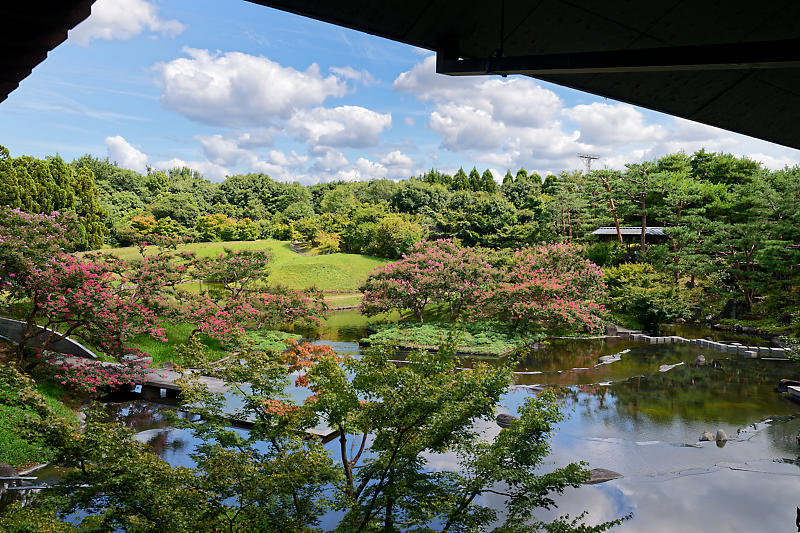 四季の花達　百日紅＠梅小路公園朱雀の庭_f0032011_18465336.jpg