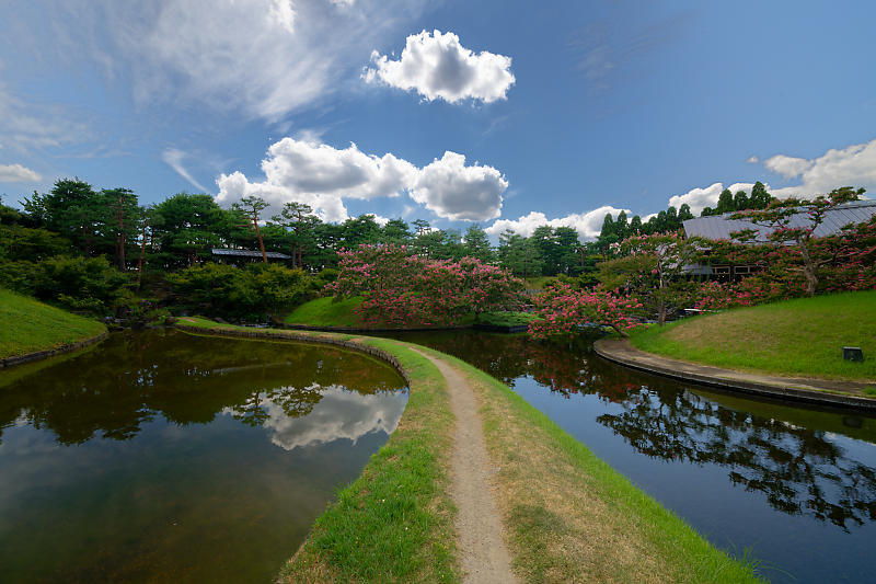 四季の花達　百日紅＠梅小路公園朱雀の庭_f0032011_18475135.jpg