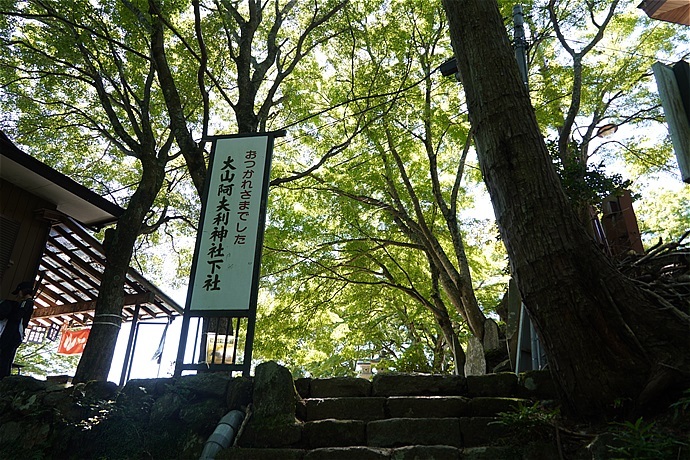 日向薬師（彼岸花群生地）から阿夫利神社を目指す　その13_c0196928_05551222.jpg