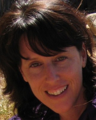 Photo of Dawn Traut, MSW, LCSW, LICSW, Clinical Social Work/Therapist