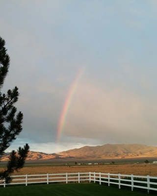 Photo of Matthew T Hedelius - Paradise Creek Recovery Center, PsyD, LCSW, CSAT, Treatment Center