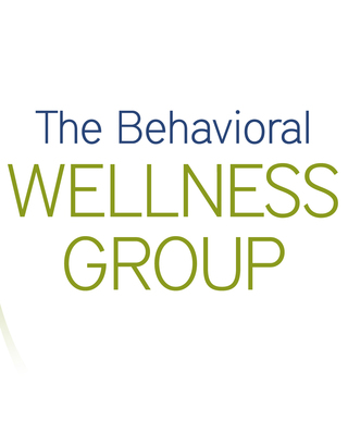 Photo of Michael Pollak - The Behavioral Wellness Group, LICDC, Treatment Center