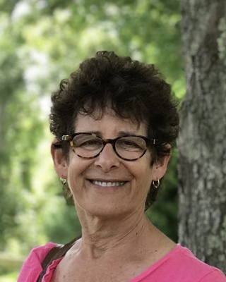 Photo of Lisa S Schachter, MSW, LICSW, Clinical Social Work/Therapist