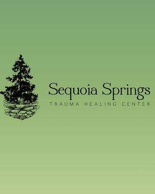 Photo of Shoshana Elkins - Sequoia Springs Trauma Healing Center, LCSW, Clinical Social Work/Therapist