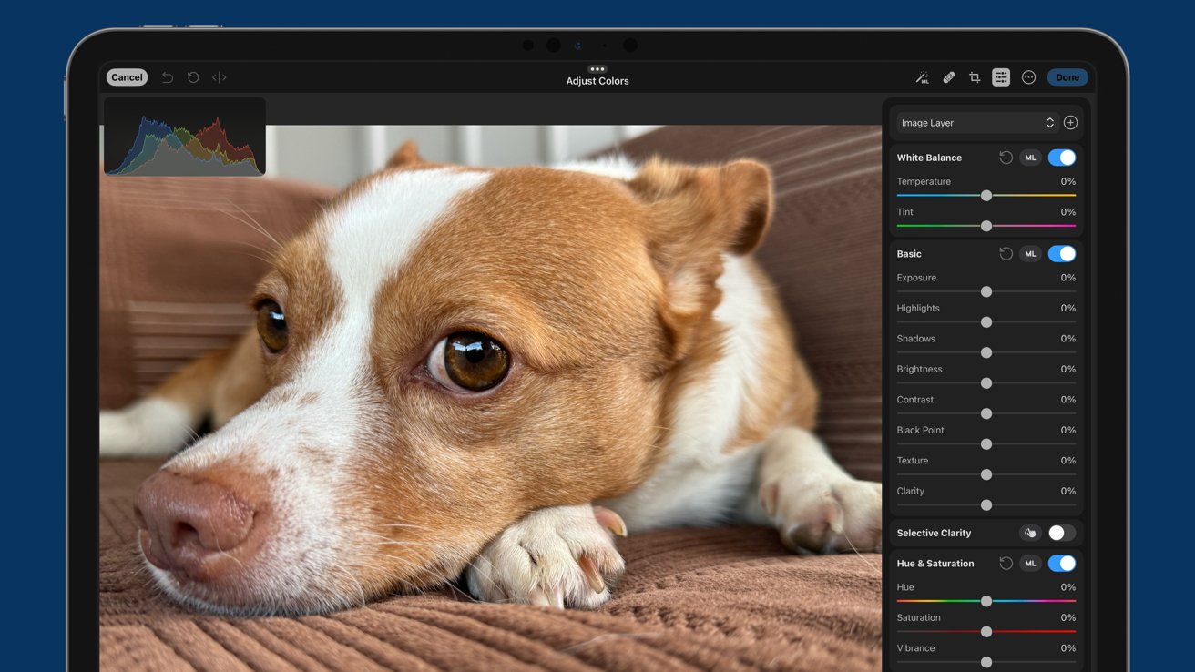 Photomator is running on iPad Pro where the user is editing a photo of a small breed dog