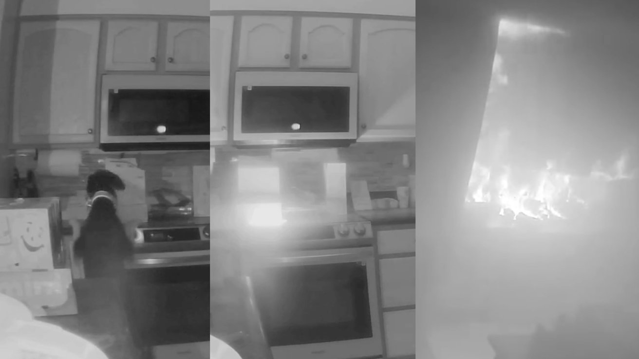 Three-panel sequence showing a dog causing a kitchen fire by interacting with a stove.