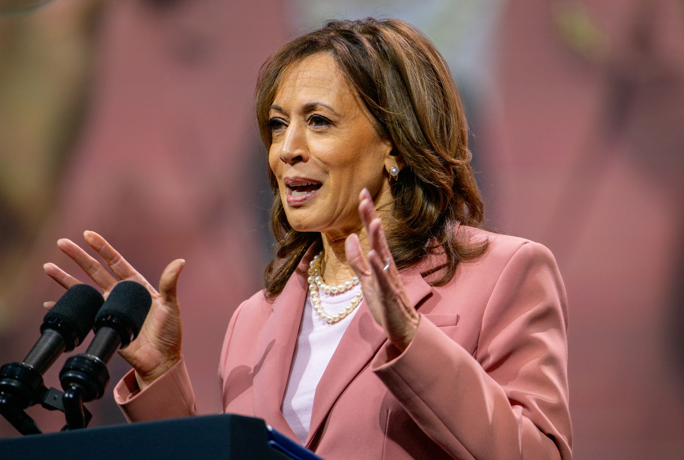 Kamala Harris’s strengths — and vulnerabilities — explained