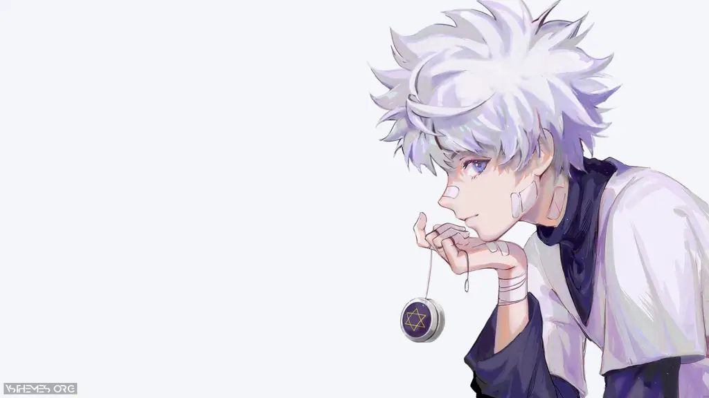 Video demonstration: Live wallpaper «Hunter Killua Zoldyck»