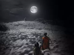 sekiro shadows die twice