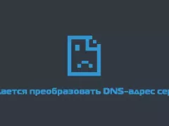 What to do in case of an error: the DNS address of the server cannot be converted