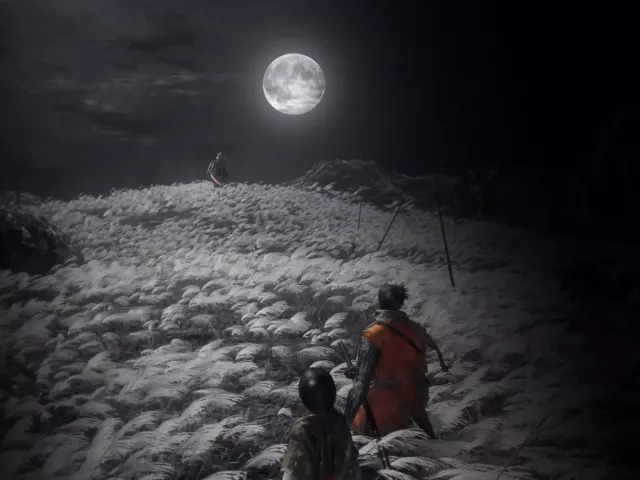 Live wallpaper «sekiro shadows die twice»