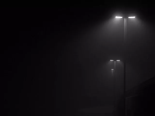 Live wallpaper «Dark night, lights on the highway»