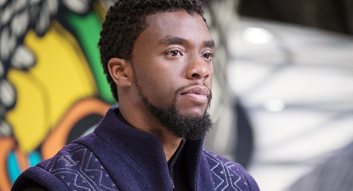 Chadwick Boseman as T'Challa in Black Panther (2018)