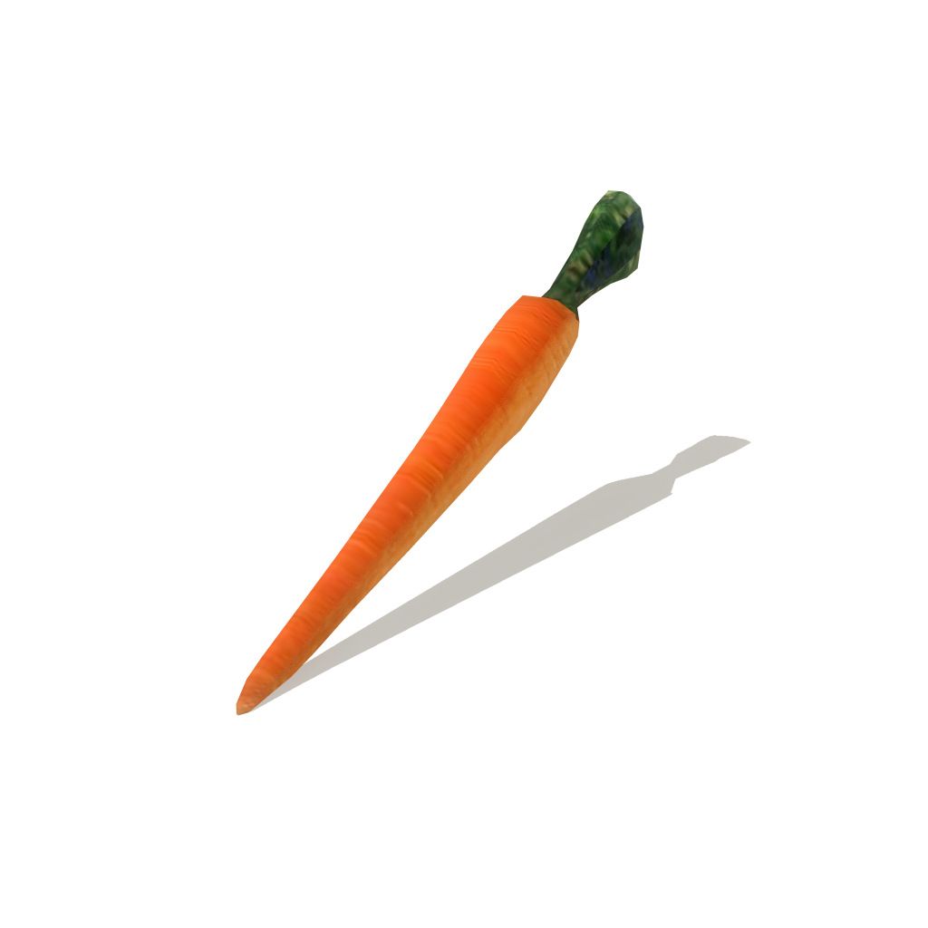 carrot 3d model