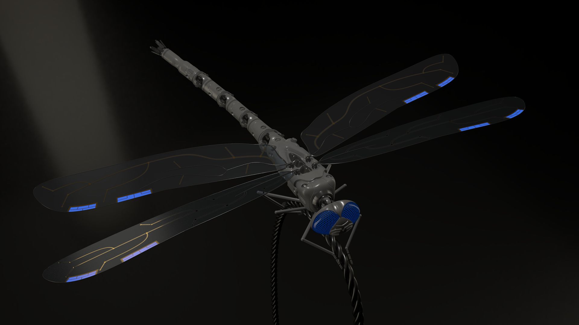 DragonFly 3d model