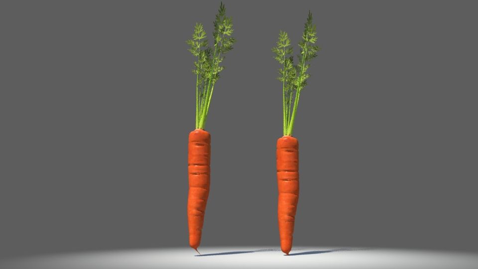 Carrots 3d model