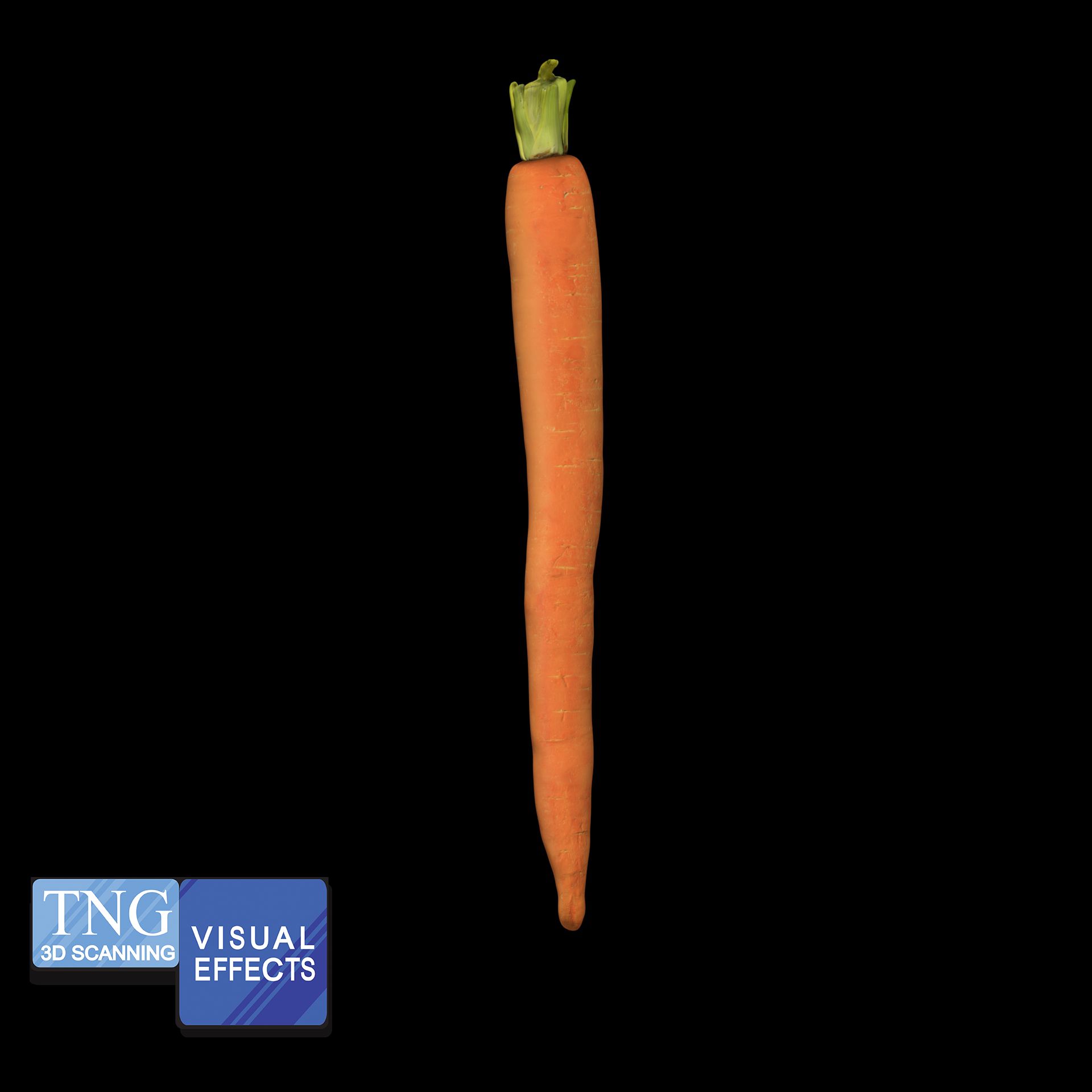 Carrot 3d model