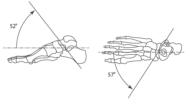 横足根関節の運動軸：斜軸