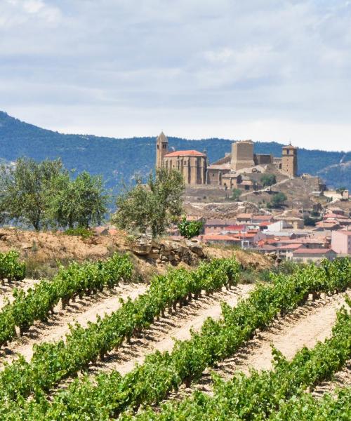 Uma bela vista de Logroño