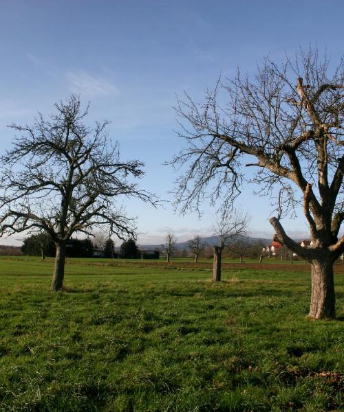 Ein schöner Blick auf Oberursel