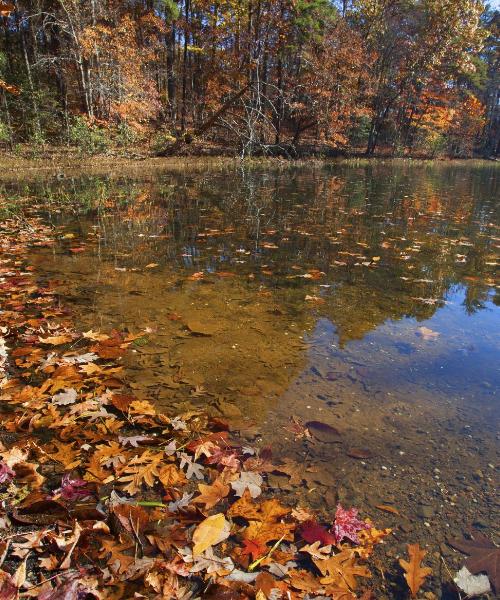 Pemandangan indah bagi Morrisville