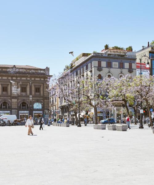 Zona di Palermo dove i nostri clienti preferiscono soggiornare.