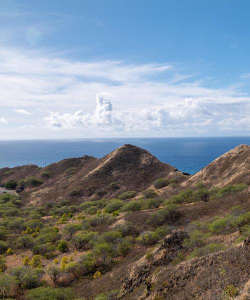 Eine der meistbesuchten Sehenswürdigkeiten in Honolulu.