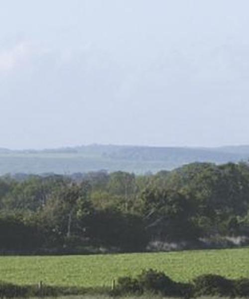 Ein schöner Blick auf die Region West Sussex