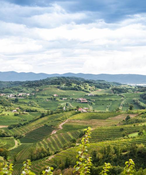 A beautiful view of Friuli Venezia Giulia.